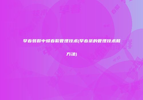 早春弱群中蜂春繁管理技术(早春茶的管理技术和方法)