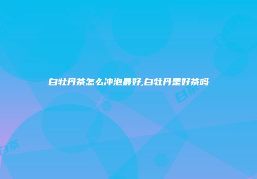 白牡丹茶怎么冲泡最好,白牡丹是好茶吗
