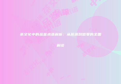 茶文化中的品鉴术语解析：从茶汤到感受的全面解读