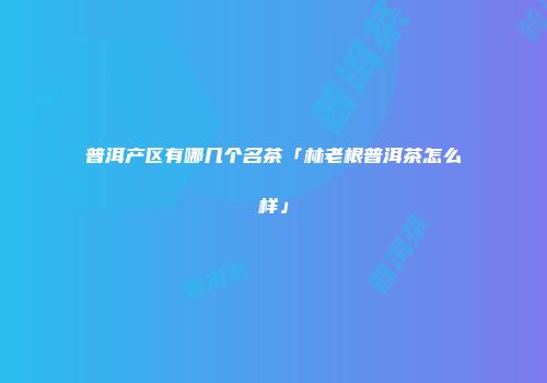 普洱产区有哪几个名茶「林老根普洱茶怎么样」