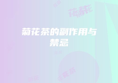 菊花茶的副作用与禁忌