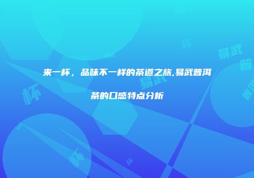 来一杯，品味不一样的茶道之旅,易武普洱茶的口感特点分析