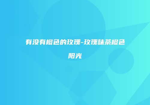 有没有橙色的玫瑰-玫瑰味茶橙色阳光