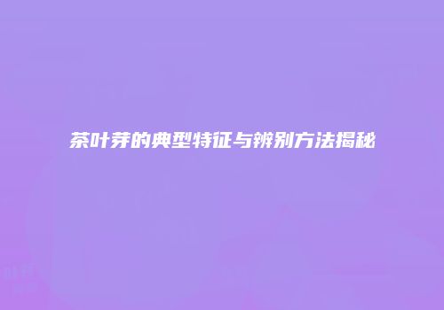 茶叶芽的典型特征与辨别方法揭秘