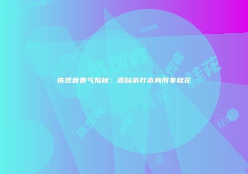 铁观音香气揭秘：源自茶叶本身而非桂花
