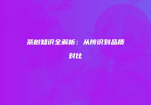茶树知识全解析：从辨识到品质对比
