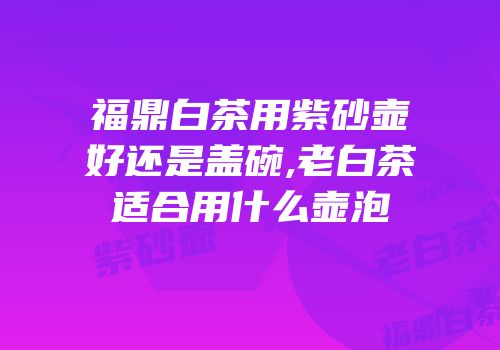 福鼎白茶用紫砂壶好还是盖碗,老白茶适合用什么壶泡
