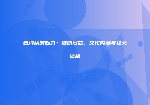 普洱茶的魅力：健康效益、文化内涵与社交体验