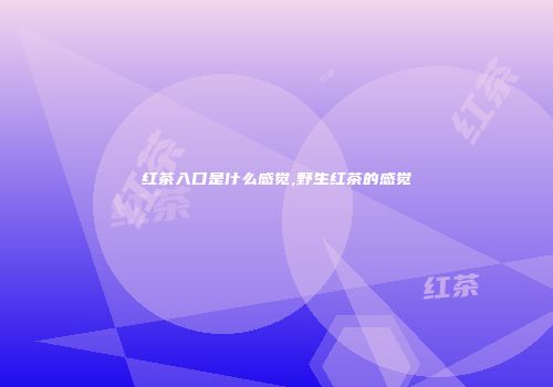 红茶入口是什么感觉,野生红茶的感觉