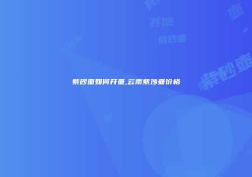 紫砂壶如何开壶,云南紫沙壶价格