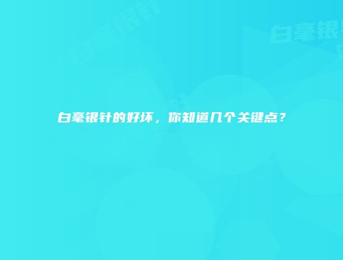 白毫银针的好坏，你知道几个关键点？