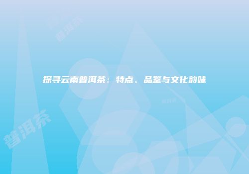 探寻云南普洱茶：特点、品鉴与文化韵味