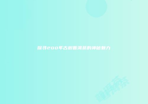 探寻200年古树普洱茶的神秘魅力
