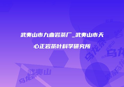 武夷山市九曲岩茶厂_武夷山市天心正岩茶叶科学研究所