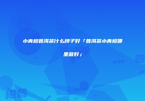 小青柑普洱茶什么牌子好「普洱茶小青柑哪里最好」
