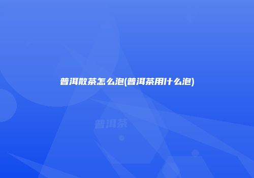普洱散茶怎么泡(普洱茶用什么泡)