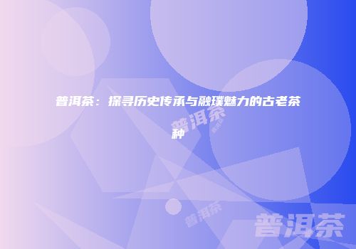 普洱茶：探寻历史传承与融璞魅力的古老茶种