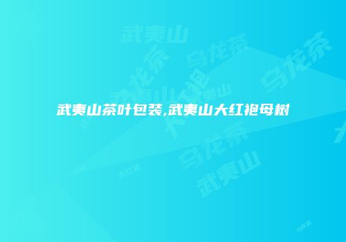 武夷山茶叶包装,武夷山大红袍母树