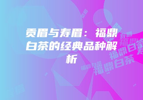 贡眉与寿眉：福鼎白茶的经典品种解析
