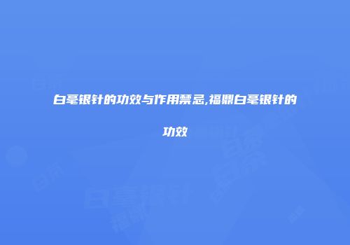 白毫银针的功效与作用禁忌,福鼎白毫银针的功效