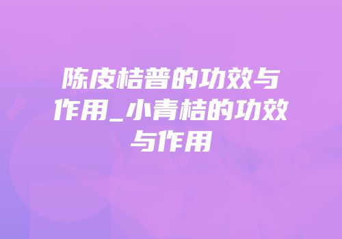 陈皮桔普的功效与作用_小青桔的功效与作用