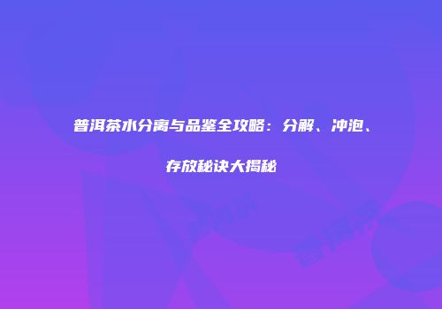 普洱茶水分离与品鉴全攻略：分解、冲泡、存放秘诀大揭秘