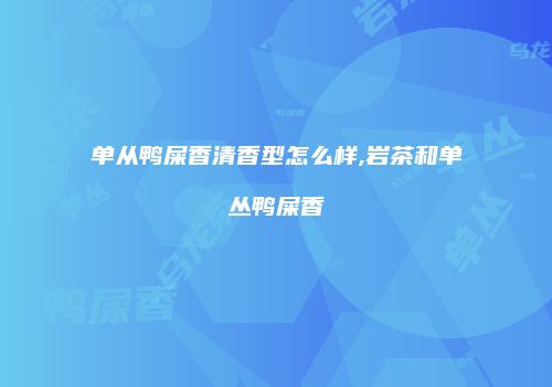 单从鸭屎香清香型怎么样,岩茶和单丛鸭屎香