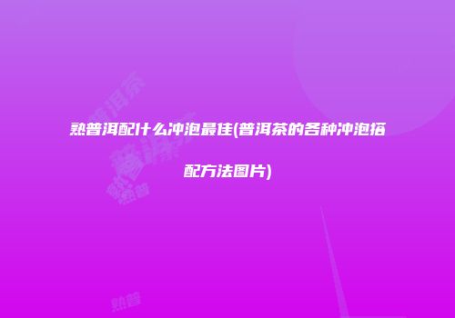 熟普洱配什么冲泡最佳(普洱茶的各种冲泡搭配方法图片)