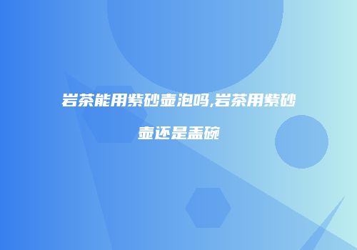 岩茶能用紫砂壶泡吗,岩茶用紫砂壶还是盖碗