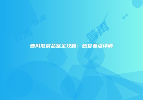 普洱散茶品鉴全攻略：感官要点详解