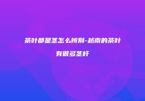 茶叶都是茎怎么辨别-越南的茶叶有很多茎杆