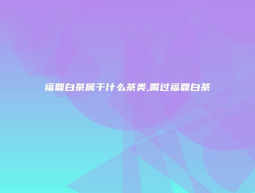福鼎白茶属于什么茶类,喝过福鼎白茶