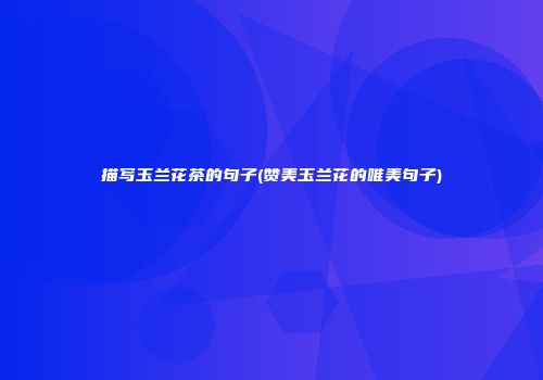 描写玉兰花茶的句子(赞美玉兰花的唯美句子)