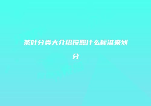 茶叶分类大介绍按照什么标准来划分