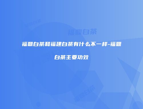 福鼎白茶和福建白茶有什么不一样-福鼎白茶主要功效