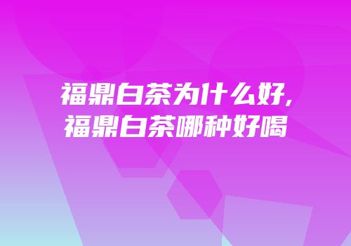 福鼎白茶为什么好,福鼎白茶哪种好喝