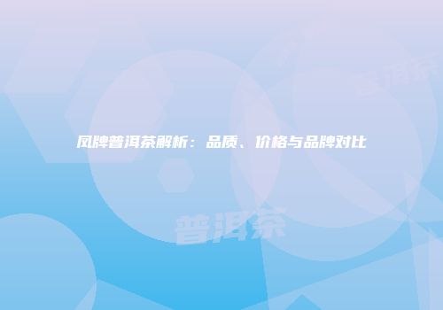 凤牌普洱茶解析：品质、价格与品牌对比