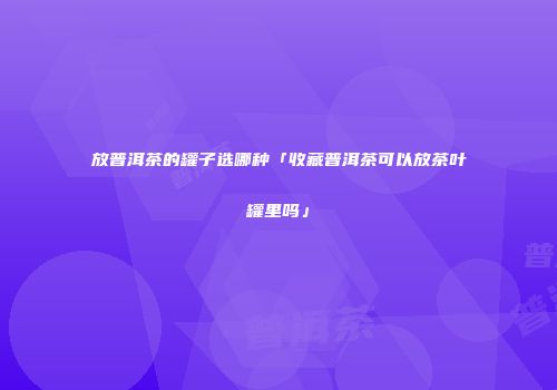 放普洱茶的罐子选哪种「收藏普洱茶可以放茶叶罐里吗」