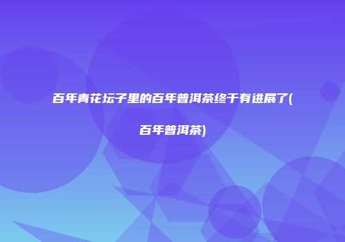 百年青花坛子里的百年普洱茶终于有进展了(百年普洱茶)