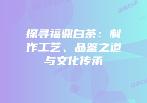 探寻福鼎白茶：制作工艺、品鉴之道与文化传承