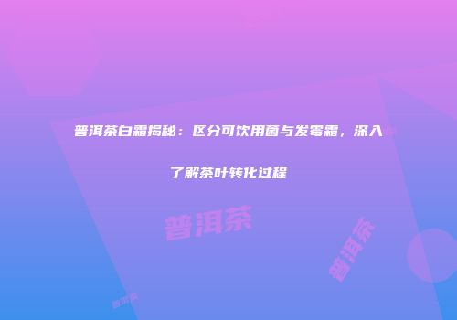 普洱茶白霜揭秘：区分可饮用菌与发霉霜，深入了解茶叶转化过程