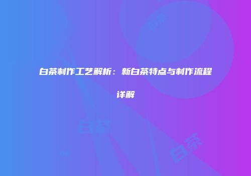 白茶制作工艺解析：新白茶特点与制作流程详解