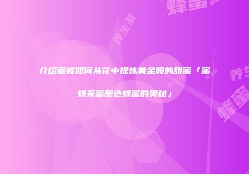 介绍蜜蜂如何从花中提炼黄金般的甜蜜「蜜蜂采蜜酿造蜂蜜的奥秘」