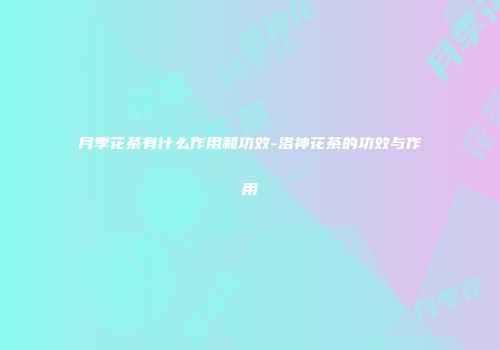 月季花茶有什么作用和功效-洛神花茶的功效与作用