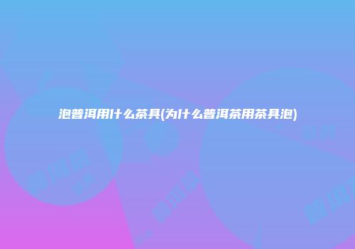 泡普洱用什么茶具(为什么普洱茶用茶具泡)
