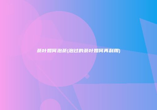 茶叶如何泡茶(泡过的茶叶如何再利用)