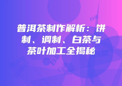 普洱茶制作解析：饼制、调制、白茶与茶叶加工全揭秘