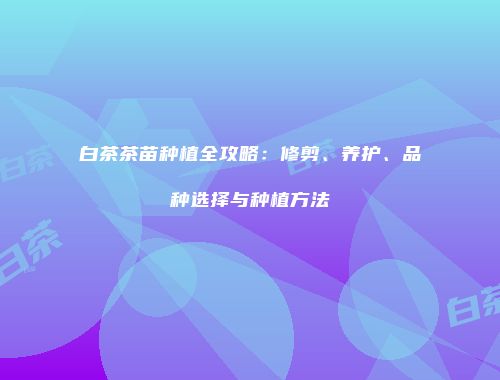 白茶茶苗种植全攻略：修剪、养护、品种选择与种植方法