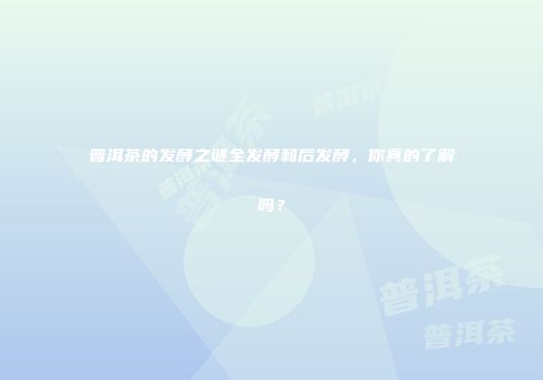 普洱茶的发酵之谜全发酵和后发酵，你真的了解吗？