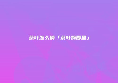茶叶怎么摘「茶叶摘哪里」